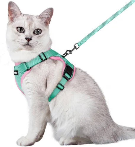 Vista 79 de rabbitgoo Cat Harness and Leash Set, Escape Proof Vest, XXS, Berry Pounce Soft Breathable Mesh, No-choke Adjustable Fit, Snap Buckles, Sturdy