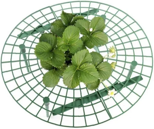 Vista 3 de 5 soportes de soporte de fresa, soporte de marco de fruta, estante de cultivo de plantas de jardín, estantes de cultivo de flores