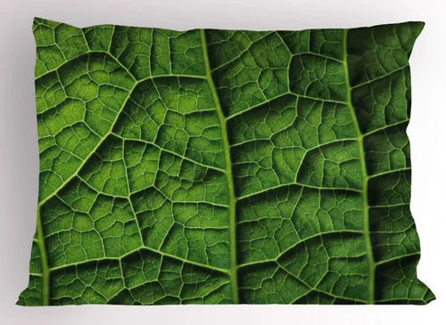 Vista 3 de Ambesonne Funda de almohada con frase en escala de grises, composición de flechas y puntos, inscripción inspiradora Be Brave, funda de almohada Gris