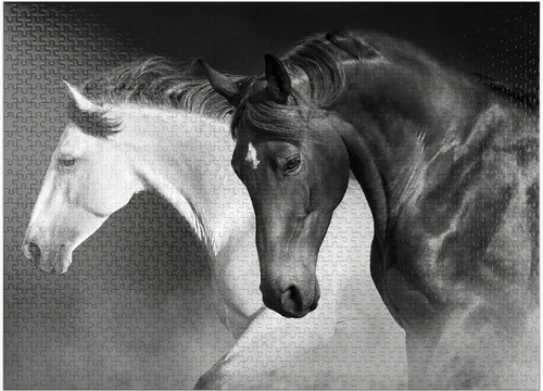 Vista 9 de MyPuzzle Horses Run Gallop in The Desert - Rompecabezas prémium de 100 piezas para adultos