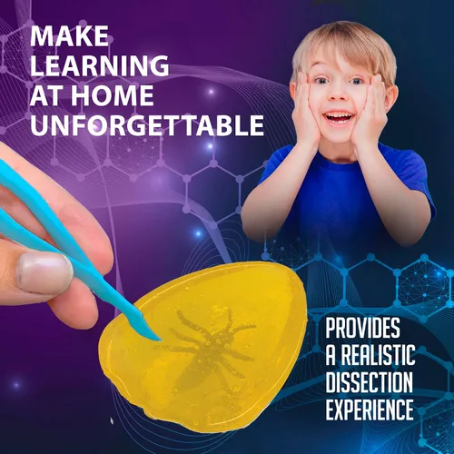 Vista 5 de Discover-It Kit de disección para niños, kit de laboratorio científico de ámbar sintético para aprender sobre insectos, juguetes científicos