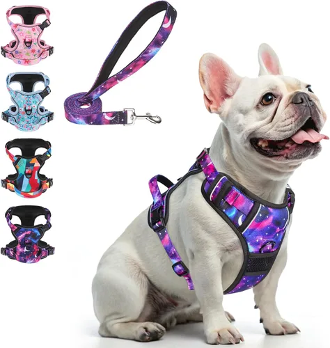 Vista 34 de BEAUTYZOO Arnés para perro sin tirones pequeño, juego de arnés y correa ajustable para perro - Fácil de usar con 3 hebillas/mango de control, arnés