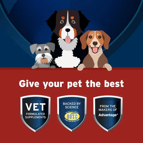 Vista 9 de Paquete de perros medianos K9 Advantix II de 11 a 20 libras. Suministro de 6 meses + suplemento protector de cadera y articulaciones para perros