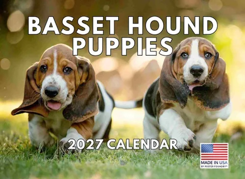 Vista 118 de Calendario mensual de pared Airedale Terrier Dog 2027