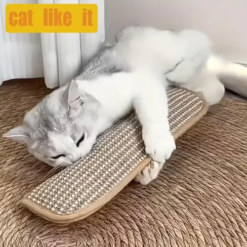 Vista 3 de Bite & Buff Cat Pillow Toy, 2 Pack Catnip Toys for Indoor Cats, Interactive Catnips Chew Toy, Catnips Toys, Sisal Scratching Pad (1PC)