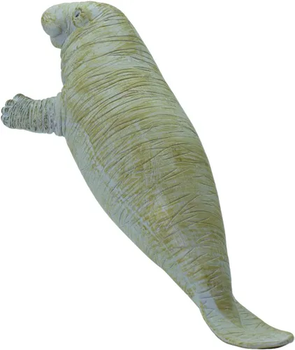 Vista 5 de Safari Ltd. Figura de Manatee – Figura detallada de plástico de 6 pulgadas – Divertido juguete educativo para niños, niñas y niños a partir de 3 años