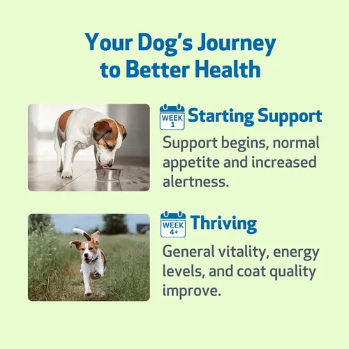 Vista 9 de Pet Wellbeing Life Gold para perros – Apoya la desintoxicación y la salud del sistema inmunológico con astrágalo y acedera de oveja – Certificado