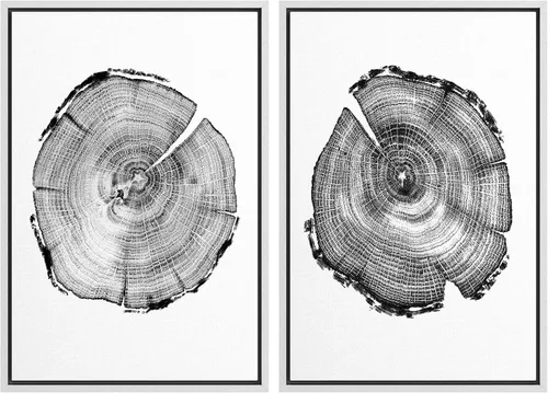 Vista 16 de SIGNWIN Lienzo enmarcado para pared, juego de arte con anillos de árbol de bosque grunge en blanco y negro, ilustraciones de naturaleza silvestre