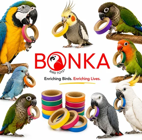 Vista 8 de Bonka Bird Toys 2113 Pk12 2.75 "cartón masticar bagels pájaro pie juguete
