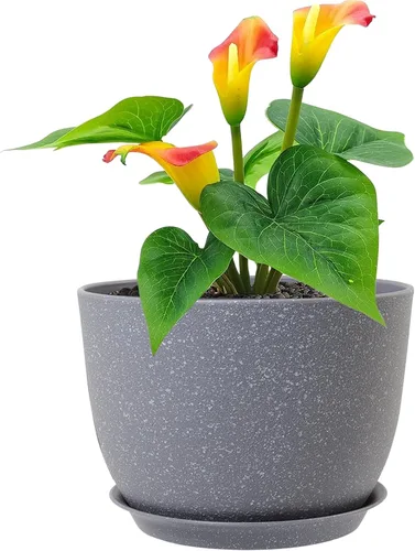 Vista 27 de Meowell Macetas grandes de 12 pulgadas con riego automático para plantas de interior y exterior, macetas para flores con orificios de drenaje