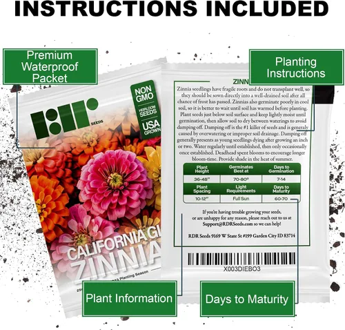 Vista 3 de 250 semillas de zinnia de California Giants para plantar, semillas de flores de primera calidad cultivadas en Estados Unidos sin OMG cultivadas