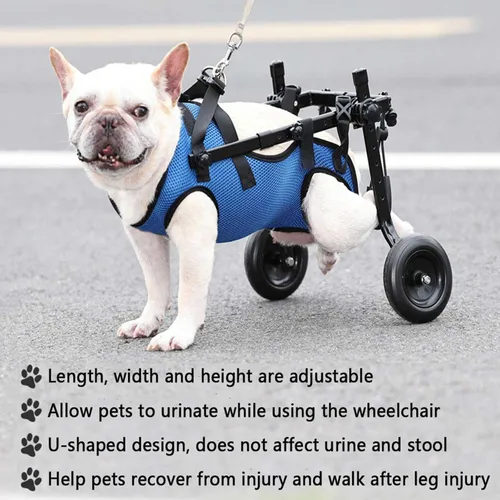 Vista 2 de Silla de ruedas ajustable para patas traseras, soporte de pierna de perro y soporte de cadera, sillas de ruedas para mascotas/perros con patas
