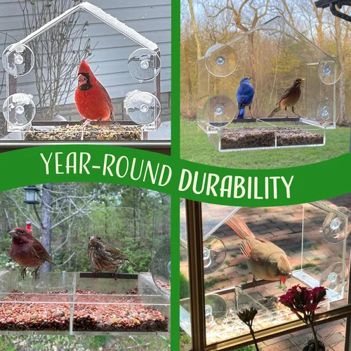Vista 4 de Comedero para pájaros de ventana con ventosas fuertes, casa transparente
