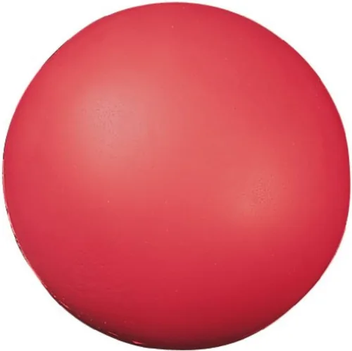 Vista 5 de Champion Sports High-Density & Regular-Density Foam Balls – Safe, Lightweight & Durable, Multiple Sizes for Gym Class, Recess & Training, Coated &