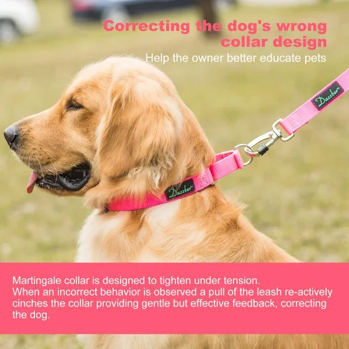 Vista 4 de Martingale collares para perros, ajustable, durable, color sólido, de nylon, Collar para perro grande, mediano y pequeño, por Dazzber, Rosado