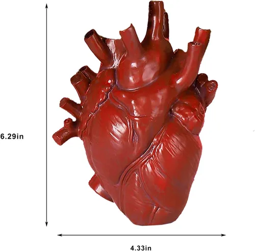 Vista 4 de Jarrón anatómico de corazón – Florero único de resina, jarrones en forma de corazón rojo para esculturas de flores, decoración del hogar, maceta