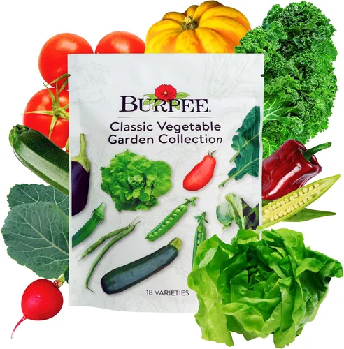 Vista 12 de Colección Burpee Best 10 Paquetes de Mezcla Fresca Sin OGM de Pimiento Picante y Variedades Dulces Jalapeño, Semillas de Pimiento Morrón y Más