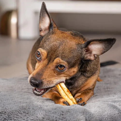 Vista 2 de Pet Factory American Beefhide - Mini rollos de golosinas masticables para perros de 3 a 3.5 pulgadas, sabor a pollo, 14 unidades/1 paquete