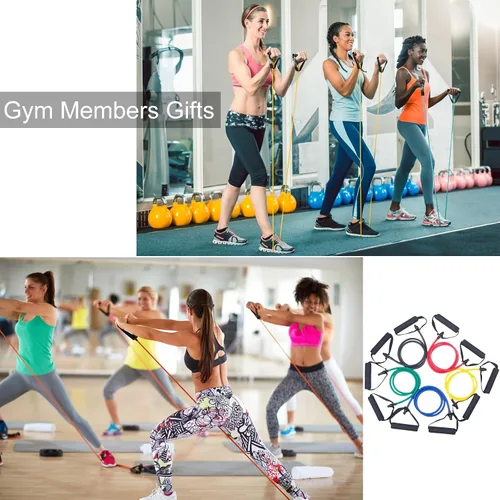 Vista 4 de 15 bandas de resistencia con asas para entrenamientos en casa, juego de bandas de ejercicio para terapia física, entrenamiento de fuerza y fitness