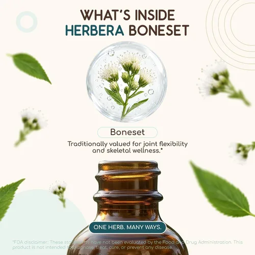 Vista 4 de Boneset B60 USDA - Tintura orgánica Extracto sin alcohol, gotas de hierbas de alta potencia Boneset orgánico certificado