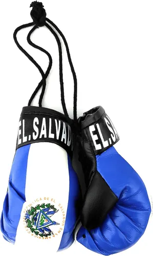 Vista 15 de Mini guantes de boxeo para colgar en el espejo del coche (Camerún)