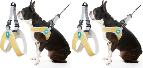 Vista 6 de Gooby Simple Step in III - Arnés para perro, verde, extra pequeño - Arnés para perros pequeños con chaqueta exterior resistente a los rasguños