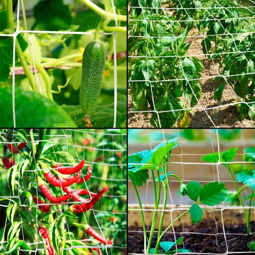 Vista 7 de Rural365 Red de enrejado de malla para plantas, rollo de 5 x 350 pies, soporte de cultivo de frijoles, guisantes, plantas trepadoras, red de jardín