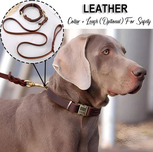 Vista 7 de Collar de cuero personalizado para mascotas, collar de perro personalizado con placa de identificación grabable, collar transpirable con hebilla