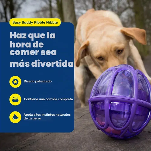 Vista 2 de PetSafe Busy Buddy Kibble Nibble juguete para perro dispensero de comida, L, Púrpura