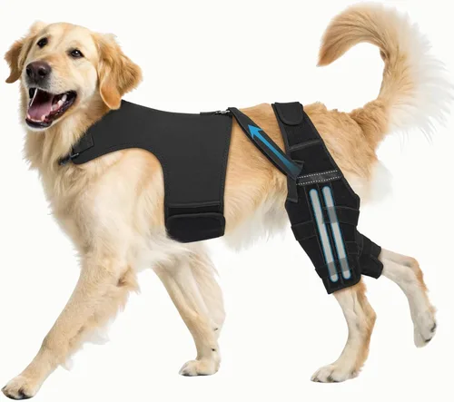 Vista 9 de Rodillera para perro con estabilizadores de metal para pierna Apoya a perros con desgarro de ACL, rótula luxante, lesiones de ligamentos, displasia