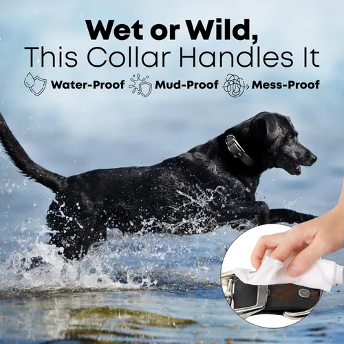 Vista 4 de Collar impermeable para perro con anillo central resistente Collar para perros pequeños, medianos, grandes o XL, Negro