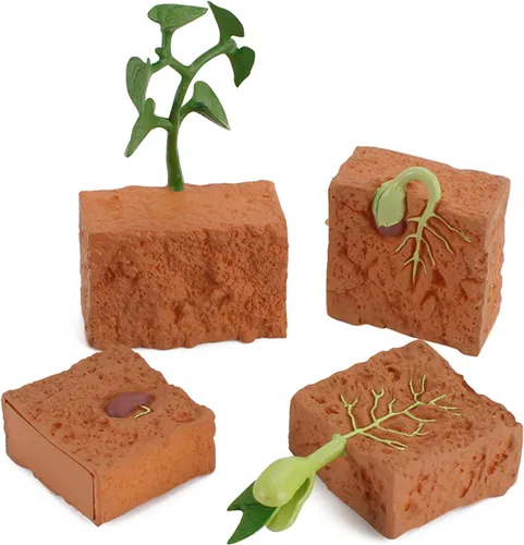 Vista 4 de 4 unids ciclo de vida plantas verdes juguete educativo PVC ciclo de crecimiento planta falsa juguete para niños herramienta de enseñanza