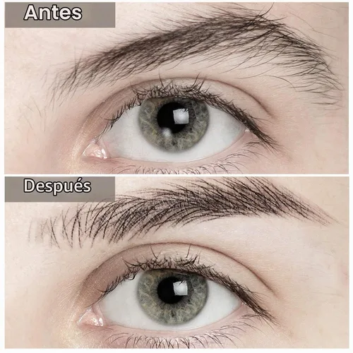Vista 3 de 6 hojas 4D de cejas de transferencia autoadheribles con apariencia de vello natural, impermeables, preparadas y modeladas con estilo arqueado