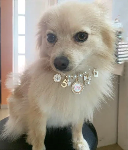 Vista 2 de PETCTN Collares de perlas para perros, collar de lazo de princesa, collar para mascotas, collar lindo para cachorros, accesorios de joyería de gato