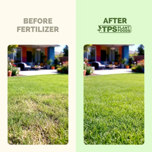 Vista 3 de Fertilizante para césped: fertilizante líquido para césped más verde, césped más grueso y desarrollo de raíces más fuerte, 1 galón