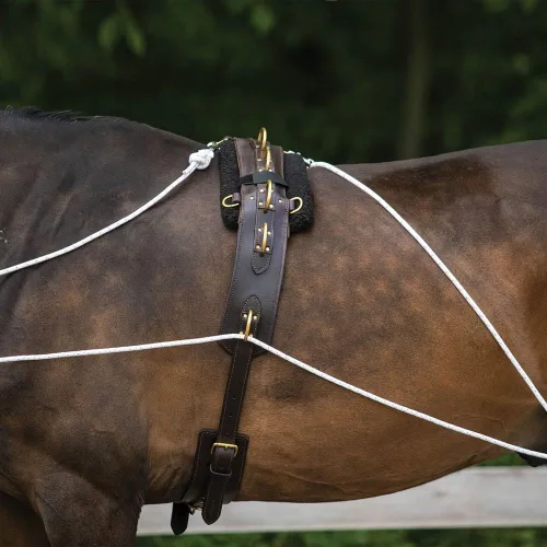 Vista 5 de Sistema de entrenamiento europeo avanzado Herramienta de entrenamiento avanzada Mejora el carro de caballos y los auriculares Fomenta