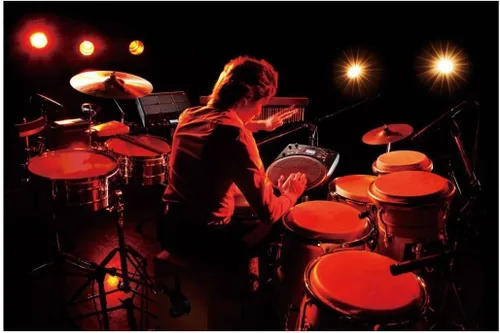 Vista 7 de Roland HPD-20 Instrumento digital de percusión manual, 3 pulgadas (HPD-20), multicolor 10-Inch Pad with 13 Velocity-Sensitive Zones, 850