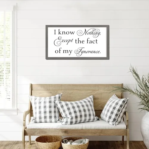 Vista 5 de Letrero de madera de estilo vintage de 12 x 22 pulgadas con texto positivo en inglés "I Know Nothing Except the Fact of My Ignorancance