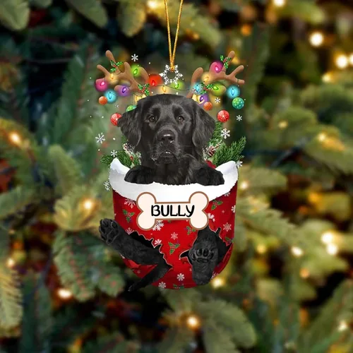 Vista 89 de IZI POD Affenpinscher Adorno de Navidad personalizado para perro, adorno de bolsillo de nieve para perro para árbol de Navidad, adorno acrílico