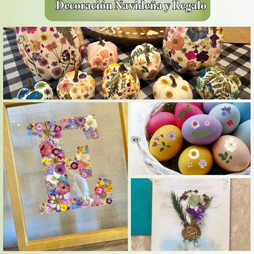 Vista 7 de 86 piezas de flores prensadas secas blancas y rosas para manualidades de resina Blanco 86 piezas