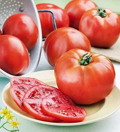 Vista 3 de Semillas de tomate híbridas Phoenix, tipo arbusto rara vez necesita replanteo (10 - semillas)
