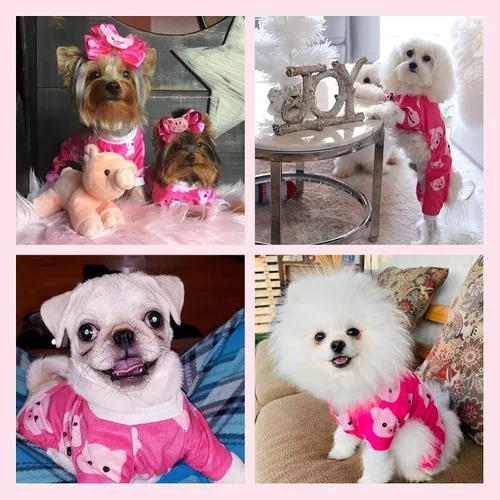 Vista 7 de CuteBone - Pijama de Halloween para perro, enterizos para cachorros, ropa suave para gatos, abrigo de Navidad para mascotas, cómodo traje de cuerpo