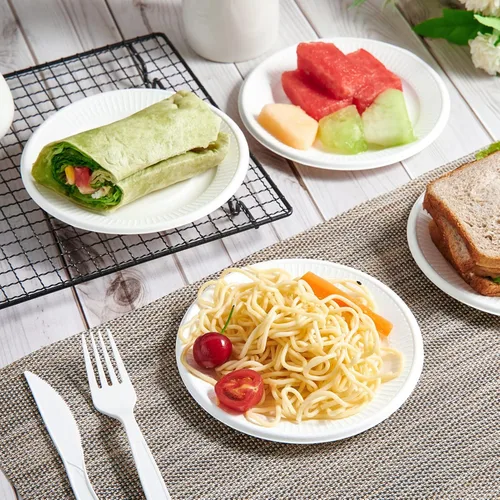 Vista 6 de Vplus Platos de papel pequeños 100% compostables, paquete de 300 platos de papel desechables de 6 pulgadas, biodegradables sin recubrimiento, hechos