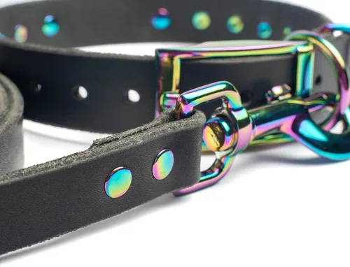 Vista 3 de Collar de perro de cuero con brida hecha a mano, grabado arco iris de acero inoxidable (negro)