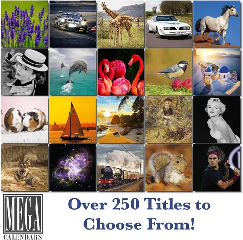 Vista 7 de Calendario de Lebrel Afgano 2025 2026, calendario mensual de pared de raza canina, 12" x 18" abierto, papel grueso sin traspaso, ideal para regalo