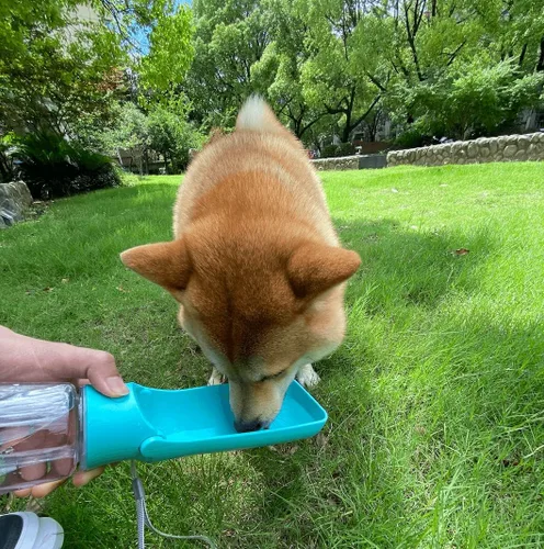 Vista 6 de WePet Botella de agua plegable portátil para perros, dispensador de agua para cachorros con alimentador para beber, 12 onzas, resistente a altas