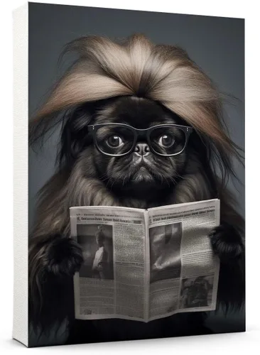 Vista 94 de Thuan Affenpinscher - Póster de lienzo con tus fotos, arte de pared para decoración del hogar, regalo conmemorativo para amantes de las mascotas