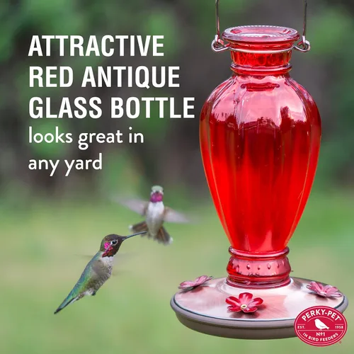 Vista 3 de Vasija clásica de vidrio alimentadora de colibríes Perky Pet Daisy , Rojo