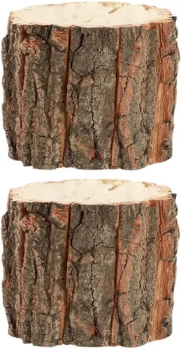 Vista 10 de OSALADI 2 macetas de tronco de árbol, corteza de madera, suculentas, cubo, rústico, natural, cactus, maceta, florero, contenedor para arreglos