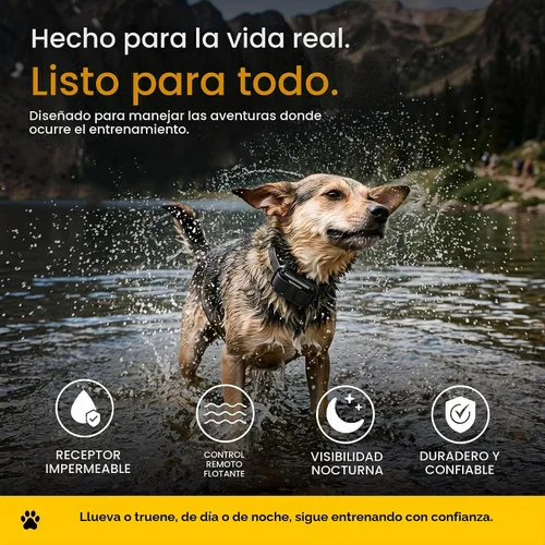 Vista 9 de Educator ET-300 Mini Collar E negro para adiestramiento de perros con control remoto, rango de 1/2 milla, impermeable, 100 niveles de estimulación